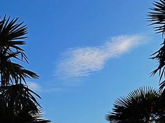 -长广溪湿地公园