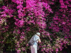 -云南师范大学(一二一西南联大校区)
