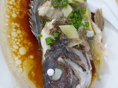 清蒸瓜子斑-绢姐海鲜大排档