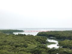 -北海金海湾红树林生态旅游区