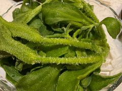 -素渡·一茶一素素食馆(新疆店)