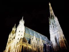 -斯蒂芬主教座堂(Stephansdom)