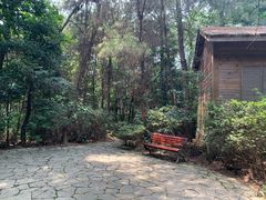 -铁山坪森林公园