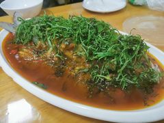 -老字号怡玺·藿香雅鱼(20年雅安店)