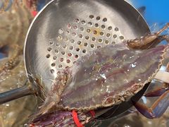 -尚宴牛特鲜自助(太原街万达店)