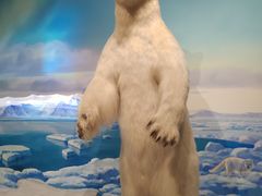 -陕西自然博物馆