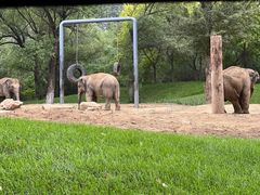 -北京野生动物园