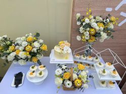 -圣塔拉 宝宝宴生日Party气球派对一站式高端策划