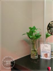 -史云逊养发护发