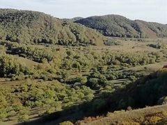 -塞罕坝国家级自然保护区