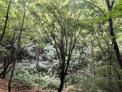 -崆峒山景区