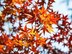-兰溪青年公园