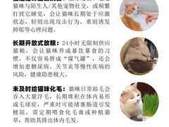 -申普宠物医院·心脏介入·心血管微创(总院)