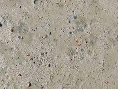 -北海金海湾红树林生态旅游区