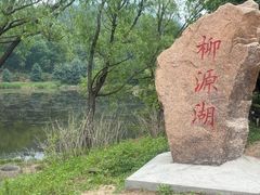 -六里坪国家森林公园