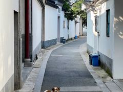 -东山风景区(洞庭东山)