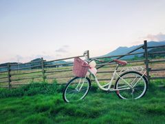 -溪口-滕头旅游景区