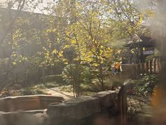 -春晖园度假酒店温泉