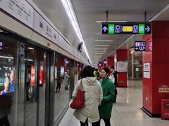 -望京西(地铁站)