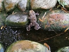 -成都市活水公园