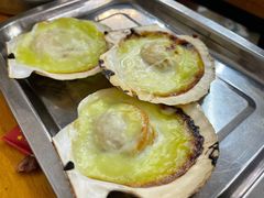 芥末扇贝-炒豆合作社(东四总店)