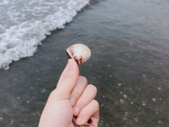 -台山黑沙湾海浴场