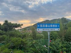 -蘇河湾·新鲁菜·泰山宴(泰山店)