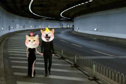 -CD视觉婚纱摄影