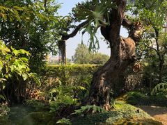 -Chom Cafe and Restaurant