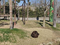 -上海野生动物园