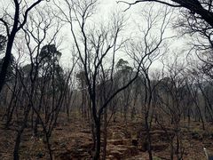 -北京上方山国家森林公园