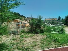 -西柏坡红色胜典景区