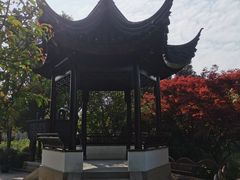 -枫桥景区