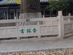 -常熟方塔园