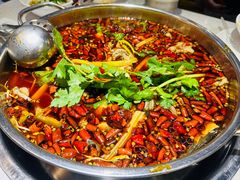 -蛙蛙鸡冷锅鱼(驷马桥店)