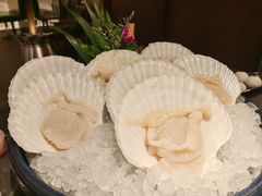 扇贝王-官也街澳门火锅(新源里店)