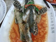 石斑鱼清蒸-四川小胡子海鲜(丁村万人海鲜广场店)