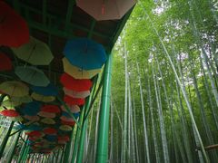 -陶祖圣境风景区