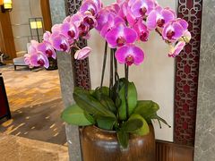 -济南香格里拉·咖啡泉自助餐厅