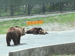 -上海野生动物园