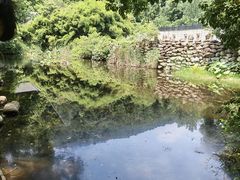 -九龙潭景区