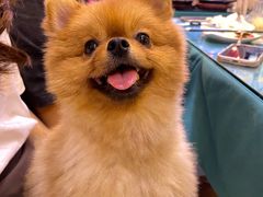 -My Way Town买味堂·东南亚餐厅(亦庄店)