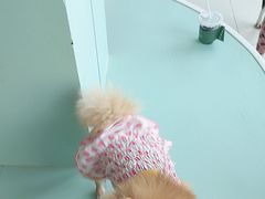 -怪兽屋·羊驼·猫咖·狗咖(俊华广场店)