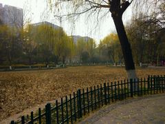 -西安市长乐公园