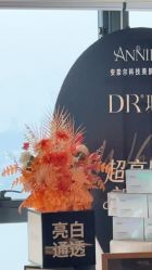 点击看大图 -ANNIL安奈尔·NASX超透白·科技抗衰·问题性肌肤管理