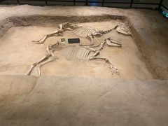 -洛阳周王城天子驾六博物馆