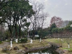 -月湖风景区