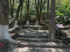 -福清灵石山国家森林公园