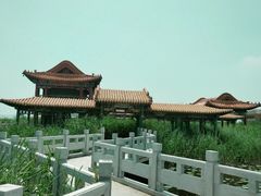 -哈素海