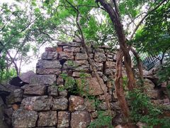 -紫金山天文台